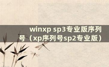 winxp sp3专业版序列号（xp序列号sp2专业版）